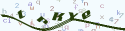 img_captcha